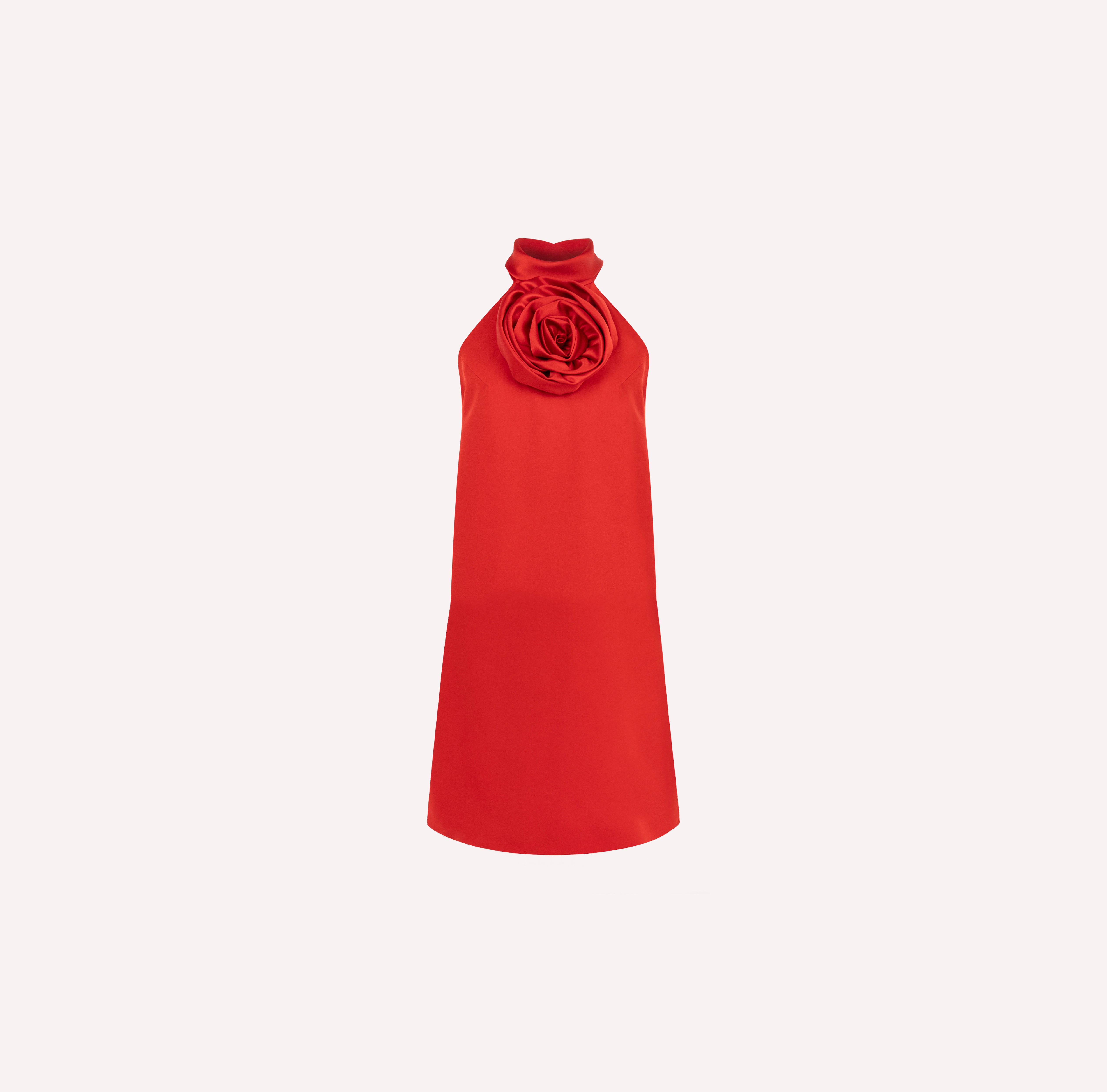 Rose Detail Mini Dress