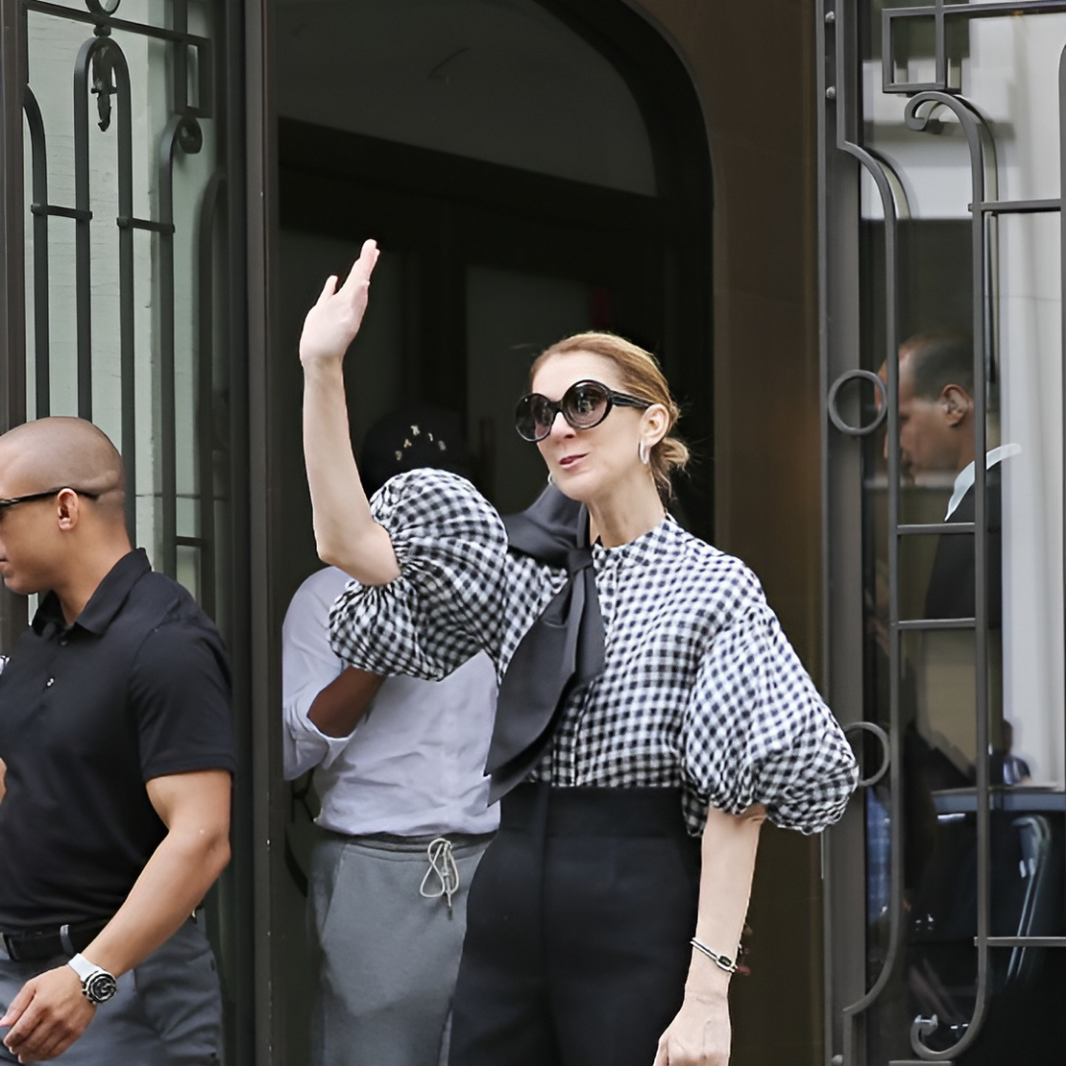 CELINE DION IN DICE KAYEK FW 17 RTW SILK TOP