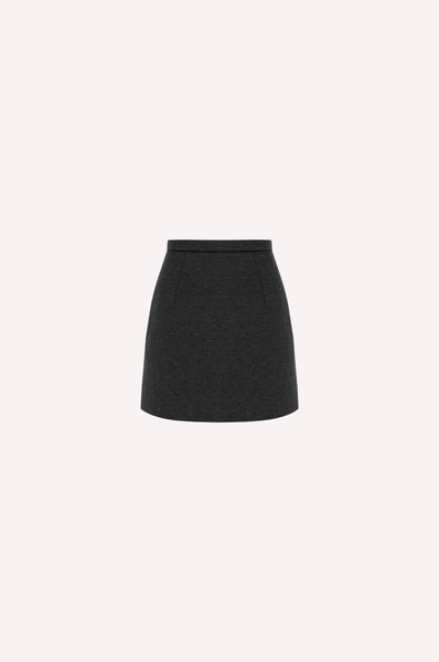 Mini Skirt