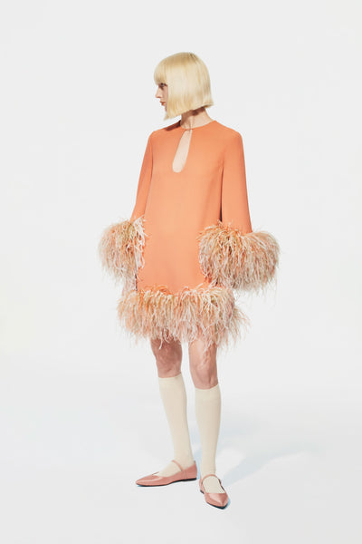 Feather Trimmed Evening Dress
