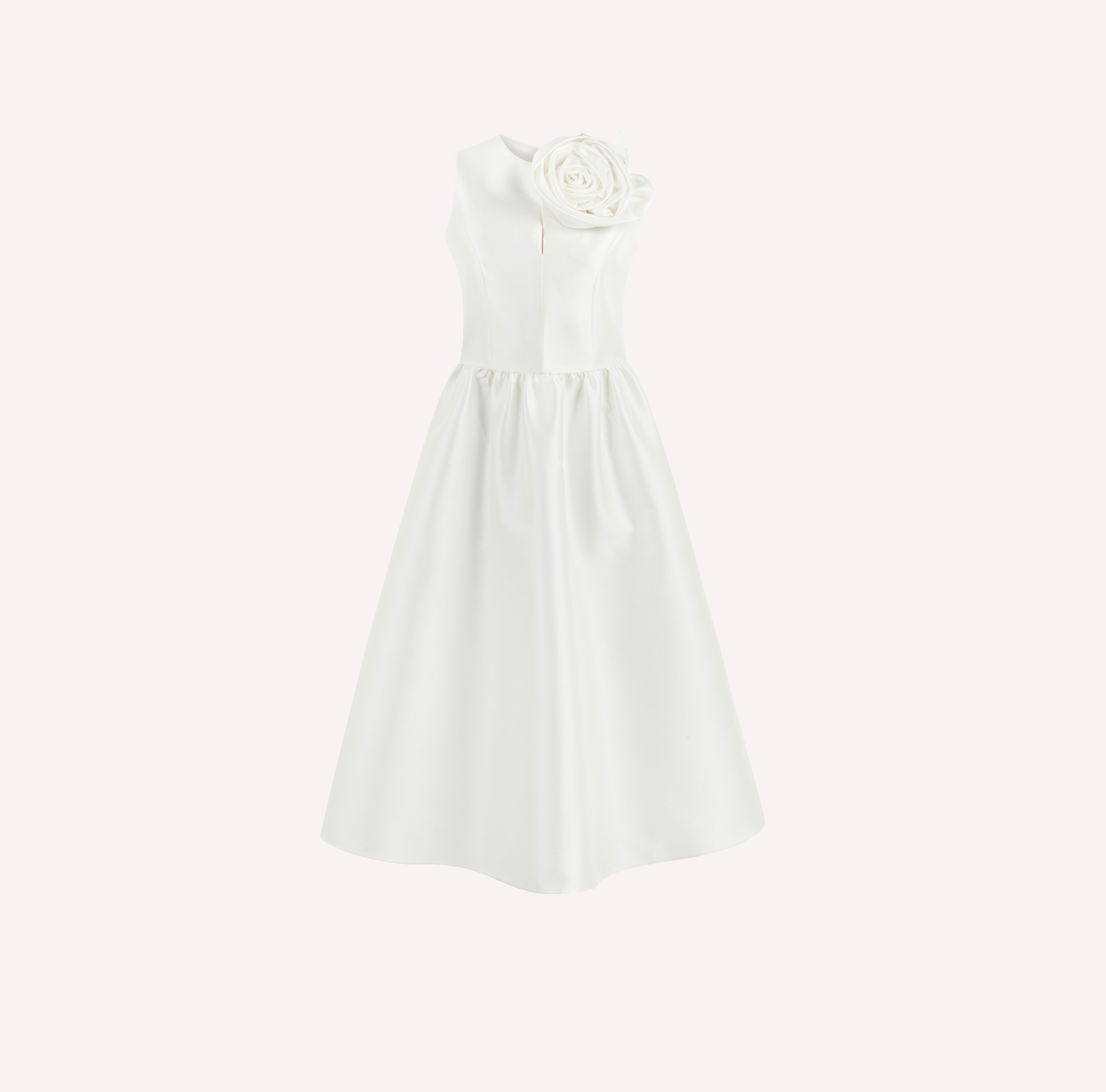 Rose Embroidered Dress