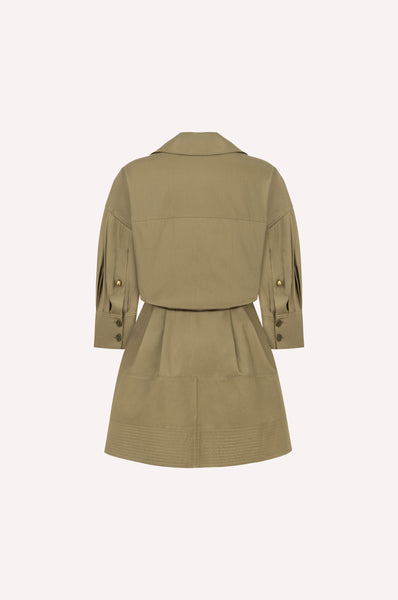 Mini Utility Dress