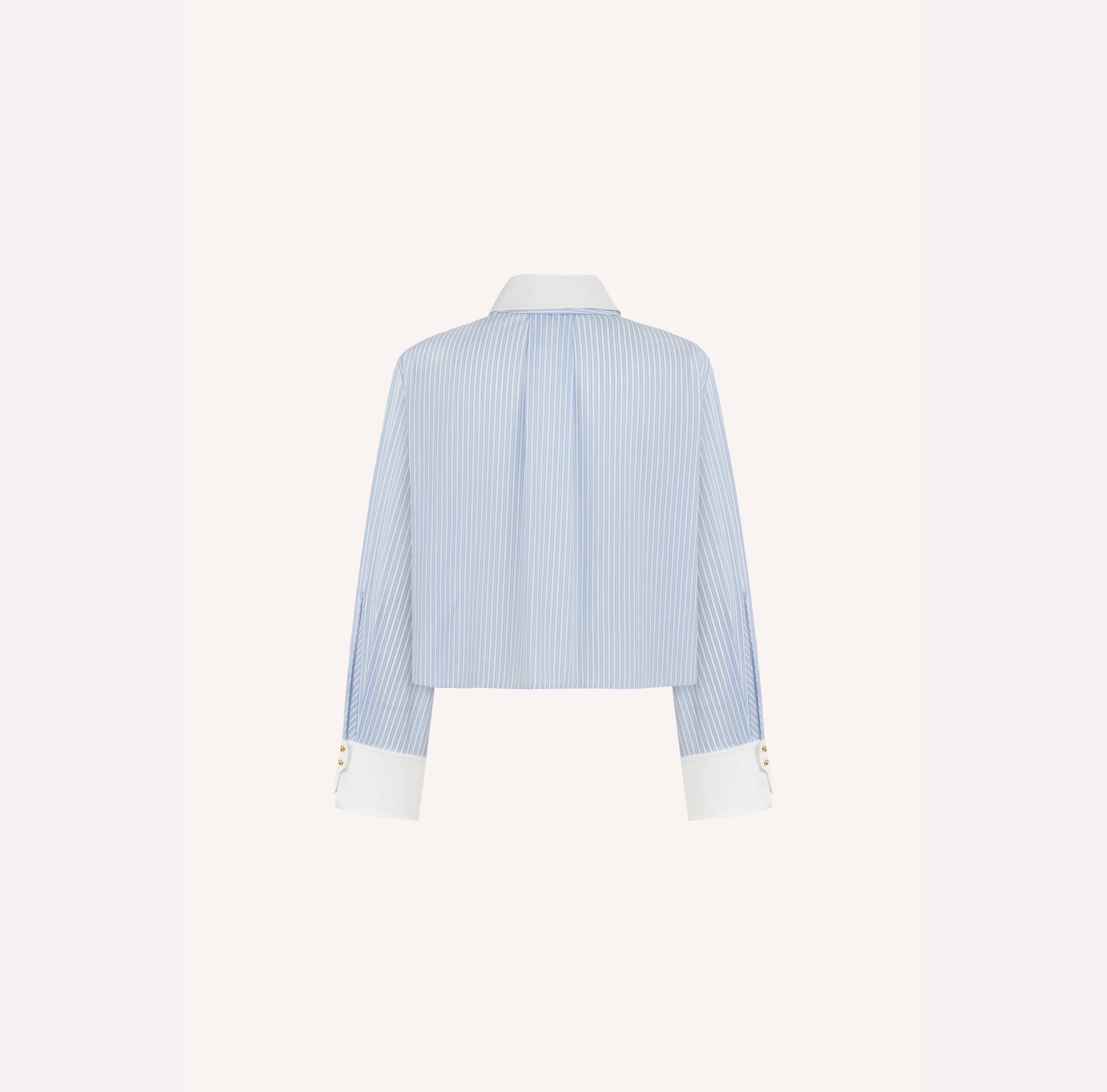 Striped Button-Up Shirt with Contrast White Collar