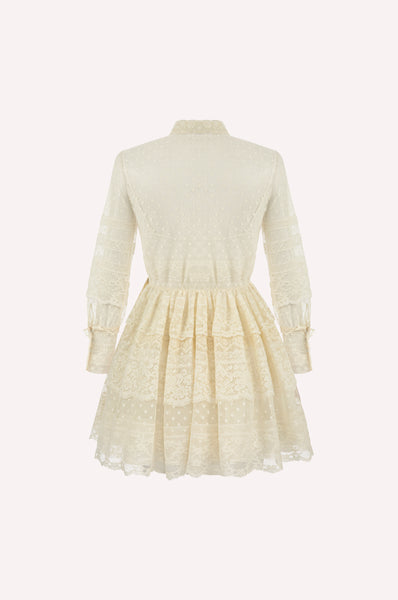 Ruffled Lace Princess Dress